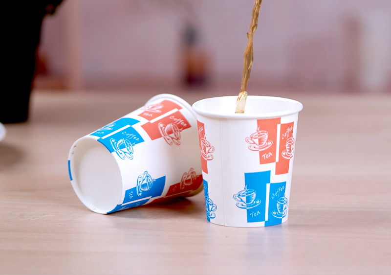 Paper Cups  6 OZ