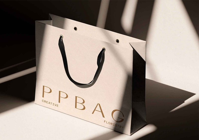 Premium Paper Bag